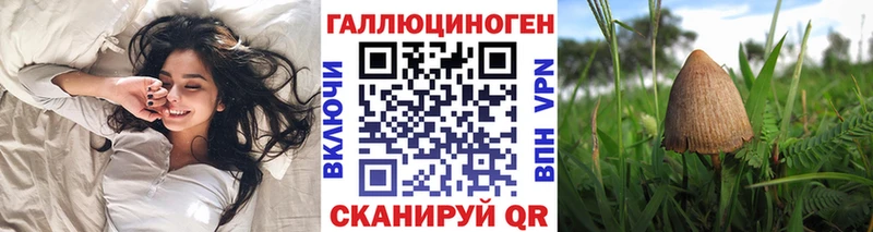 что такое наркотик  Иланский  Псилоцибиновые грибы Psilocybe 
